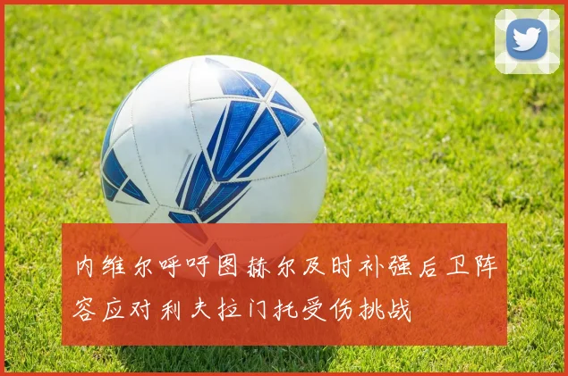 内维尔呼吁图赫尔及时补强后卫阵容应对利夫拉门托受伤挑战